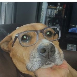 Meet your Posher, Adamo